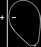 Opposite charges attract