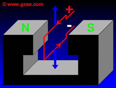 horseshoe magnet with a single coil of wire carrying DC current with forces shown